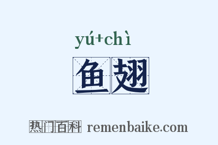 鱼翅是什么意思的图片